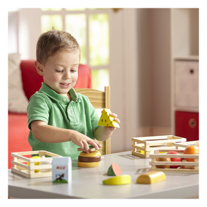Child playing with Food Groups Play Set