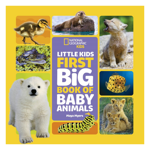 Little Kids First Big Book of Baby Animals