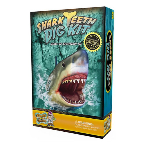 Shark Teeth Dig Kit